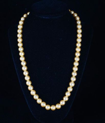 null COLLIER DE PERLES
Collier de perles dorées des mers du sud
L : 53cm – 21’’