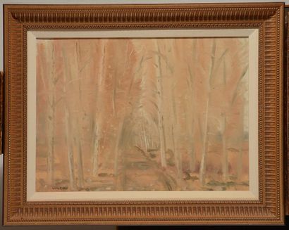 null COSGROVE, Stanley Morel (1911-2002)
Forest trail
Oil on canvas
Signed on the...