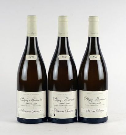 null Puligny-Montrachet 1er Cru Champs-Canet 2010

Puligny-Montrachet 1er Cru Appellation...