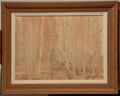 null COSGROVE, Stanley Morel (1911-2002)

Path in the Forest

Oil on canvas

Signed...