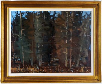 null COSGROVE, Stanley Morel (1911-2002)

"Sous bois, La Tuque"

Huile sur toile

Signée...