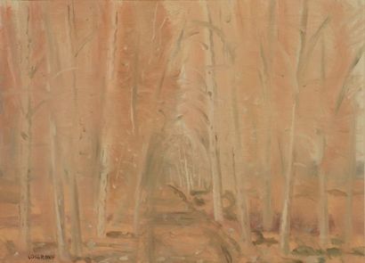 null COSGROVE, Stanley Morel (1911-2002)

Chemin dans la forêt

Huile sur toile

Signée...