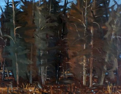 null COSGROVE, Stanley Morel (1911-2002)

"Under the Woods, La Tuque".

Oil on canvas

Signed...