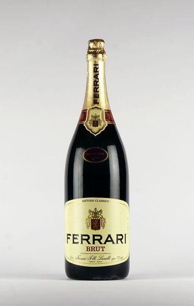 null Fratelli Lunelli Ferrari 1989

Metodo Classico Brut Trento

Niveau A

1 bouteille...