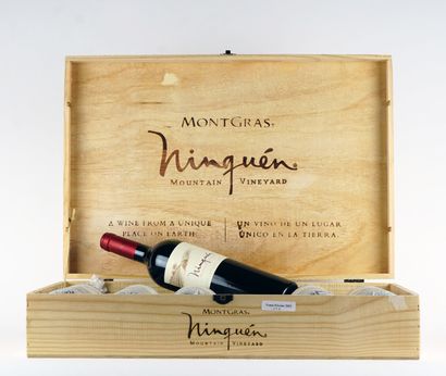 null Montgras Ninquen Mountain Vineyard 2011

Colchagua Chile

Niveau A

6 bouteilles

Boîte...