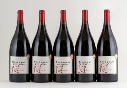 null Bourgogne Vieilles Vignes 2014, 2015 Bourgogne Pinot Noir 2014, Philippe Pacalet...