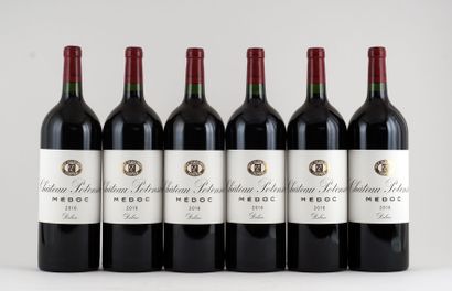 null Château Pontensac 2016

Médoc Appellation contrôlée

Niveau A

6 magnums