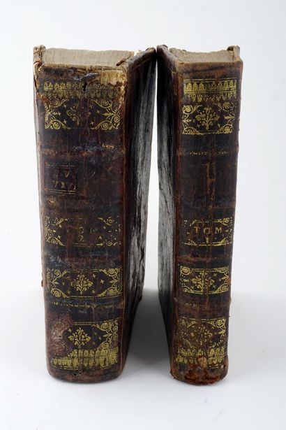 null CHAPPUZEAU, Samuel Two volumes in French. 

"Living Europe or new historical...