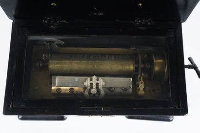  Boîte à musique de fabrication suisse, mécanique à cylindre de 20 cm - 8'' et 6...