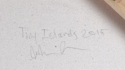 null ANCHETA, John (1973-)

"Tiny Island"

Huile sur toile

Titrée, signée et datée...