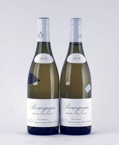 null Bourgogne (blanc) 2016, Leroy - 2 bouteilles