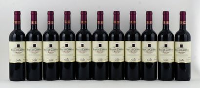 null Bodegas Vicente Gandia Hoya de Cadenas Reserva 2003 - 11 bouteilles