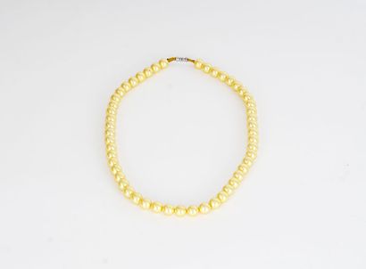null COLLIER

Un collier japonais dont les perles proviennent de conques des mers...