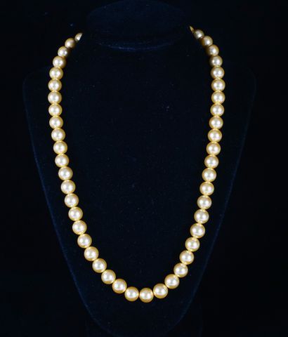 null COLLIER DE PERLES

Collier de perles dorées des mers du sud

L : 53cm – 21’...