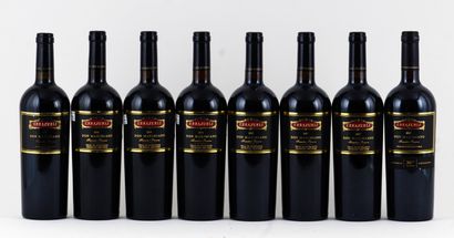 null Errazuriz Don Maximiano Founder's Reserve 1999, 2006, 2007 2013 - 8 bouteil...