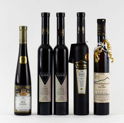 Sélection de Vins de Glace - 5 bouteilles...