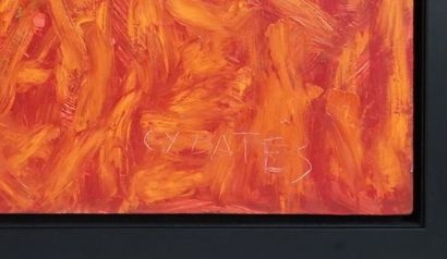 null YOUNG BATES, Catherine (1934-)

"Paysage rouge"

Huile sur toile

Signée en...