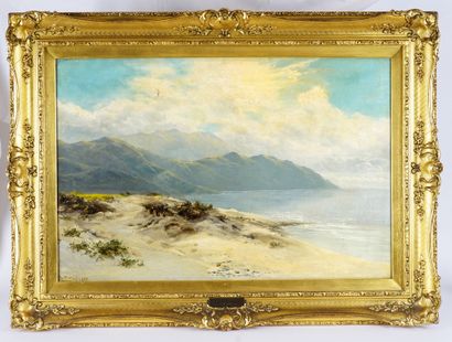 null SHERRIN, Daniel (1868-1940)

"View in North Wales"

Oil on canvas

Signed on...