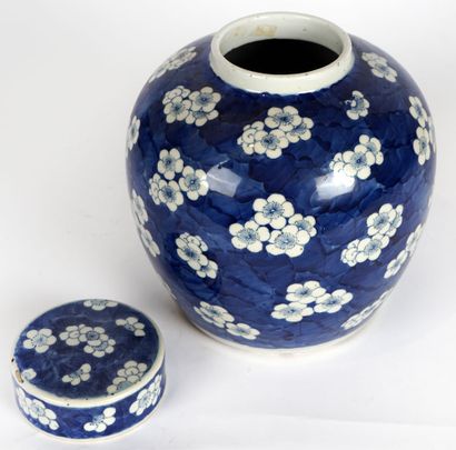 null PORCELAINE / PORCELAIN

Lot de deux porcelaines bleu blanc, comprenant un pot...