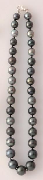 null Collier de 33 perles grises de Tahiti, diamètre 12-16mm. 33 grey Tahiti pearl...