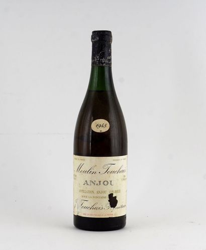 null Moulin Touchais 1945

Anjou Appellation Contrôlée

Niveau B

1 bouteille