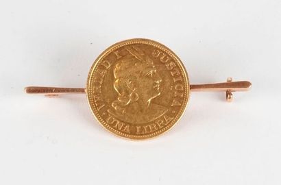 null OR 14K 22K / 14K 22 K GOLD

Broche en or jaune 14K décoré d'une monnaie " Una...