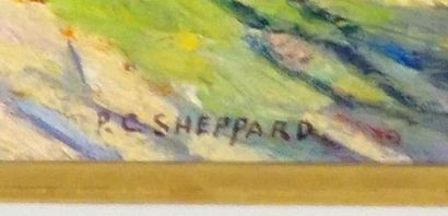 null SHEPPARD, Peter Clapham (1882-1965)

"Pine grove"

Huile sur carton

Signée...