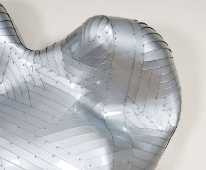  ÉCOLE CANADIENNE (XXe) 
Sculpture biomorphique en aluminium plastifié 
 
Provenance:...