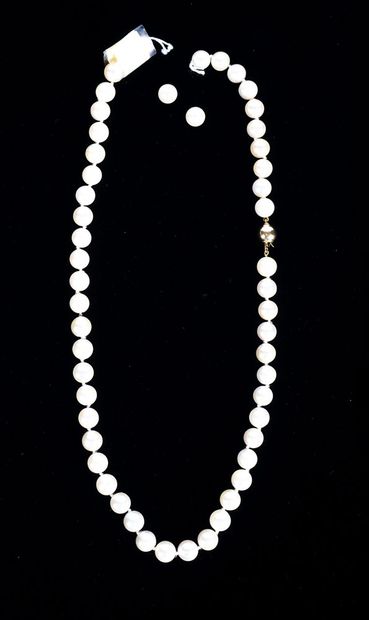 null Necklace composed of white cultured pearls, 7.50 - 8.00 mm, 14K gold clasp

L:...