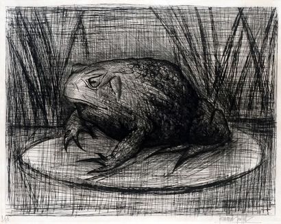 BUFFET, Bernard (1928-1999)

Le crapaud (1957)

Drypoint

Signed...
