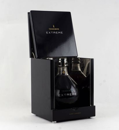 null Cognac Tesseron Extreme Grande Fine Champagne 

Niveau A

1 bouteille

Boite...