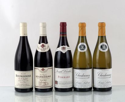 Sélection de Vins de Bourgogne - 5 boute...