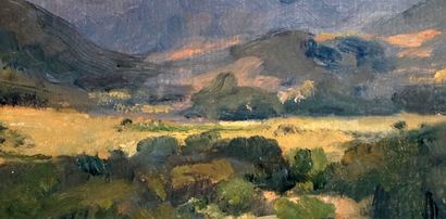 null RICHIR, Herman Jean Joseph (1866-1942)

"Auvergne"

Huile sur panneau

Signée...