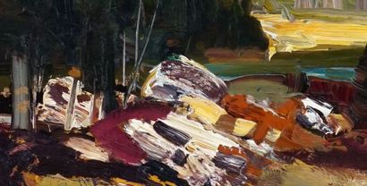 null RICHARD, René Jean (1895-1982)

Untitled - River, Charlevoix

Oil on board

Signed...