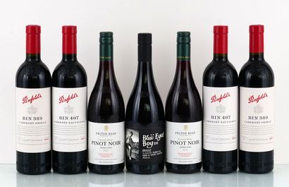 null Penfolds Bin 389 2015
South Australia Shiraz
Niveau A
2 bouteilles

Penfolds...