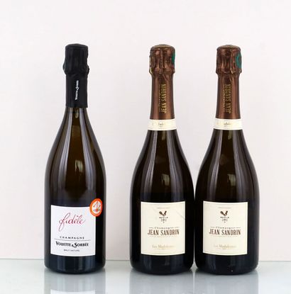 null Vouette et Sorbee Fidele Extra Brut 2016
Champagne Appellation Contrôlée
Niveau...