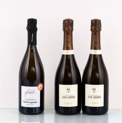 null Vouette et Sorbee Fidele Extra Brut 2016 Jean Sandrin Les Madeleines NV - 3...