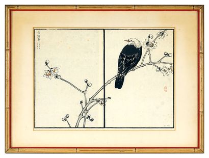 null CHINE / CHINA

Pages d'album à décor d'oiseau sur des branches. Chine, XXe siècle....