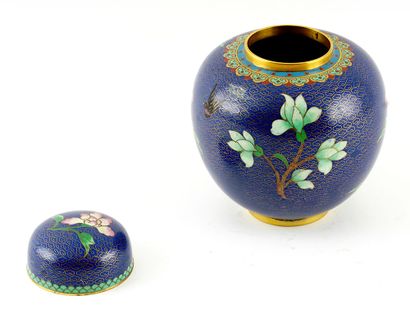 null LOTUS ET PIVOINES / LOTUS AND PEONIES

Small covered pot in cloisonné enamel...