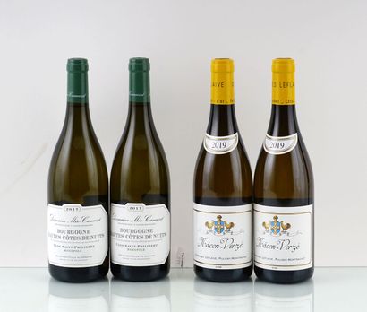 null Bourgogne Hautes-Côtes-de-Nuits Clos Saint-Philibert Monopole 2017

Bourgogne...