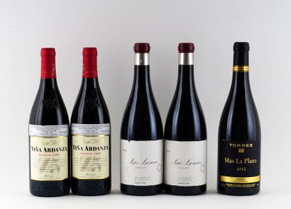 Sélection de Vins d'Espagne - 5 bouteill...