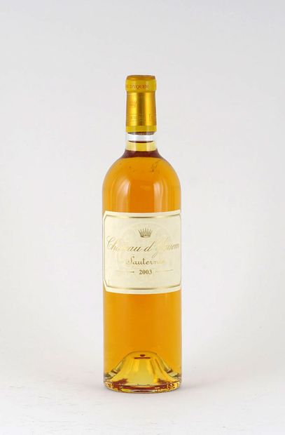  Château d'Yquem 2003 
Sauternes Appellation Contrôlée 
Niveau A 
1 bouteille