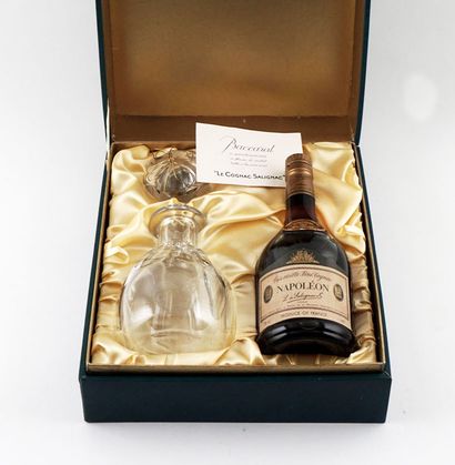 null Salignac Napoléon Très Vieille Fine Cognac

Niveau A

1 bouteille

Écrin d'origine...
