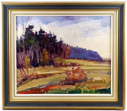 null AYOTTE, Léo (1909-1976)

"St Jean de Matha"

Oil on canvas

Signed and dated...