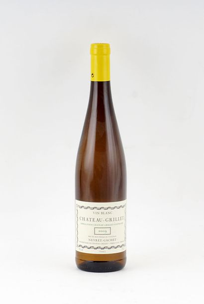  Chateau-Grillet 2009 
Domaine Neyret-Gachet 
Niveau A 
1 bouteille