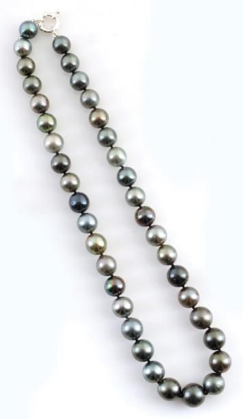 null Collier composé de 40 perles de Tahiti. 40 Tahiti pearl necklace. 10-14mm. L:...