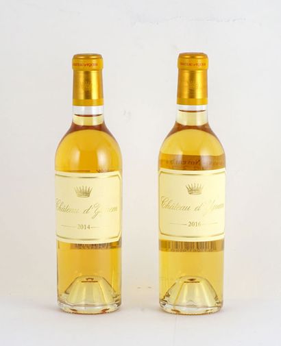 null Château d'Yquem 2014 2016 - 2 bouteilles de 375ml