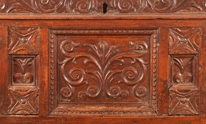 null Cassone in natural wood richly carved with foliage, fruits, symbols, piastres...
