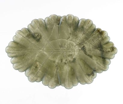 null JADE

Coupe en jade. 
Chine, style moghol, vers 1900

22,5 x 16cm ou 8 7/8 x...