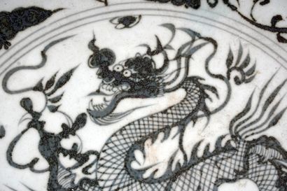 null DRAGON

Un grand plateau gris et blanc en porcelaine présentant un dragon encerclé...